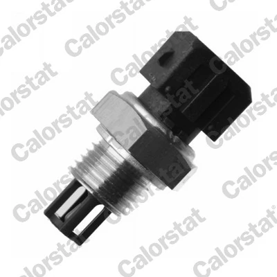 Sensor, intake air temperature